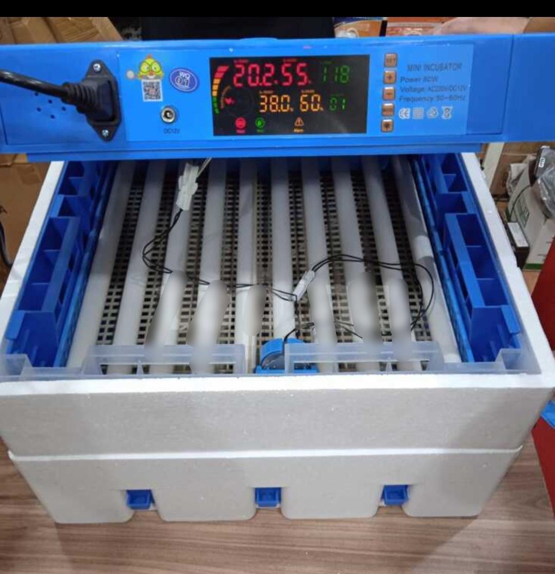 Inkubator