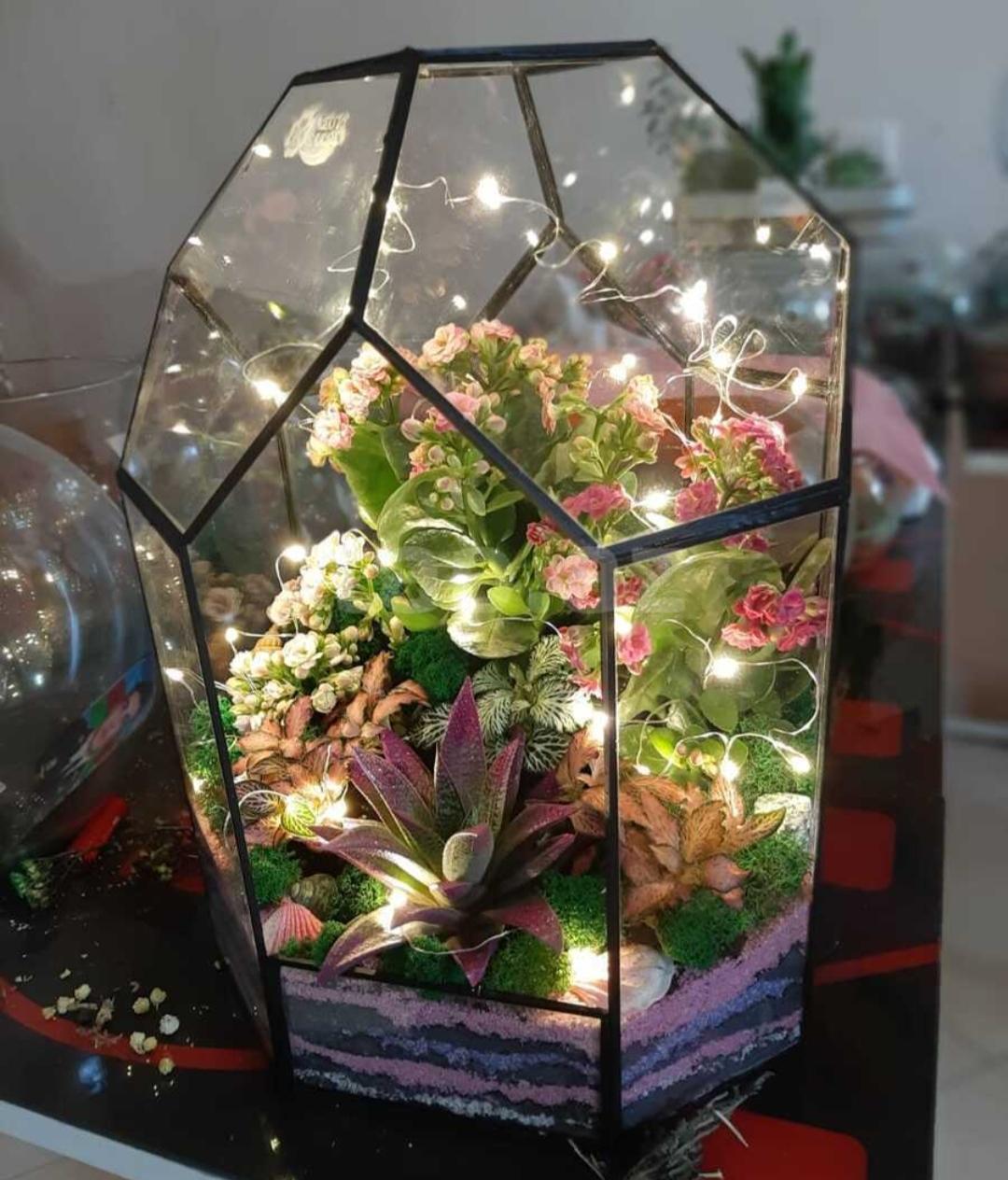 Terrarium