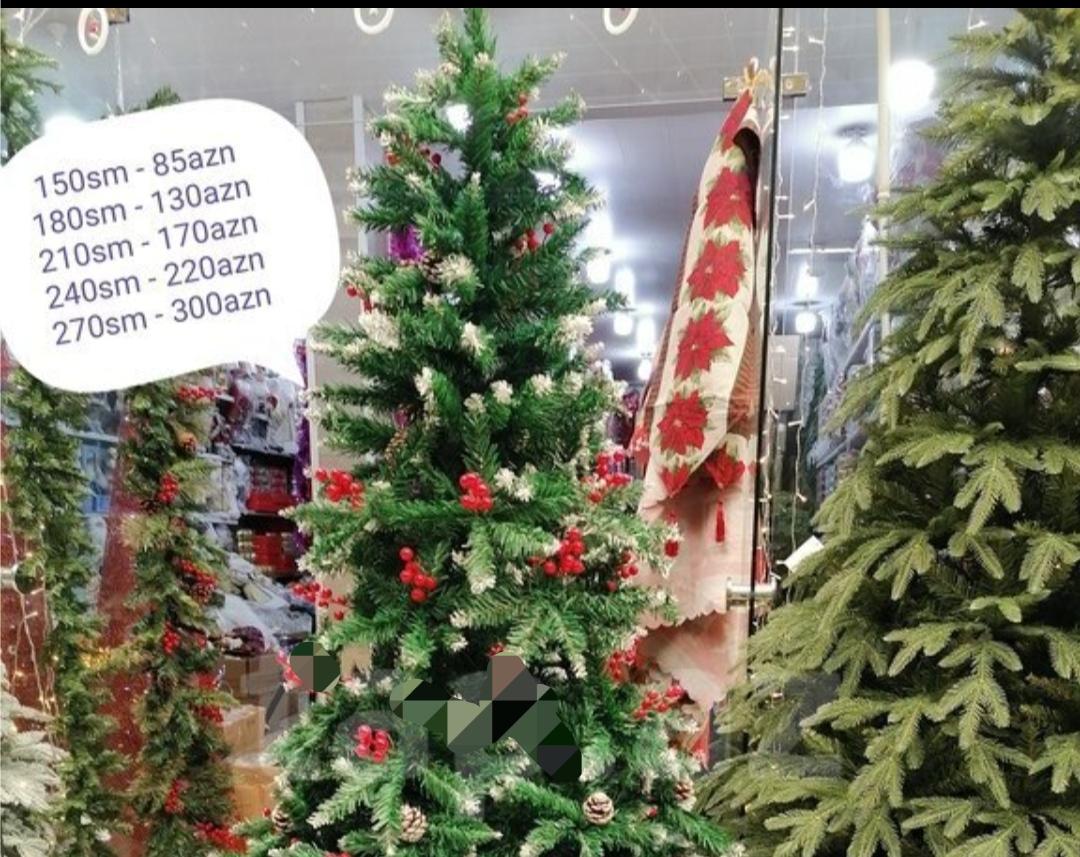 Yeni il şam ağacları