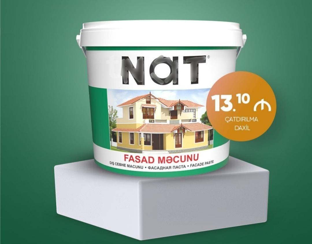 Nat fasad məcunu
