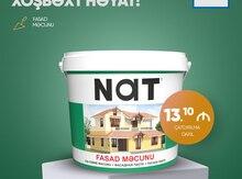 Nat fasad məcunu