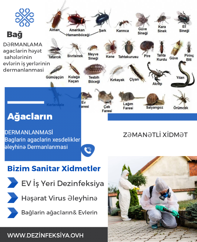 Dezinfeksiya Xidməti İlan Ağcaqanad