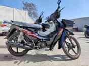 Moped, 2022 il