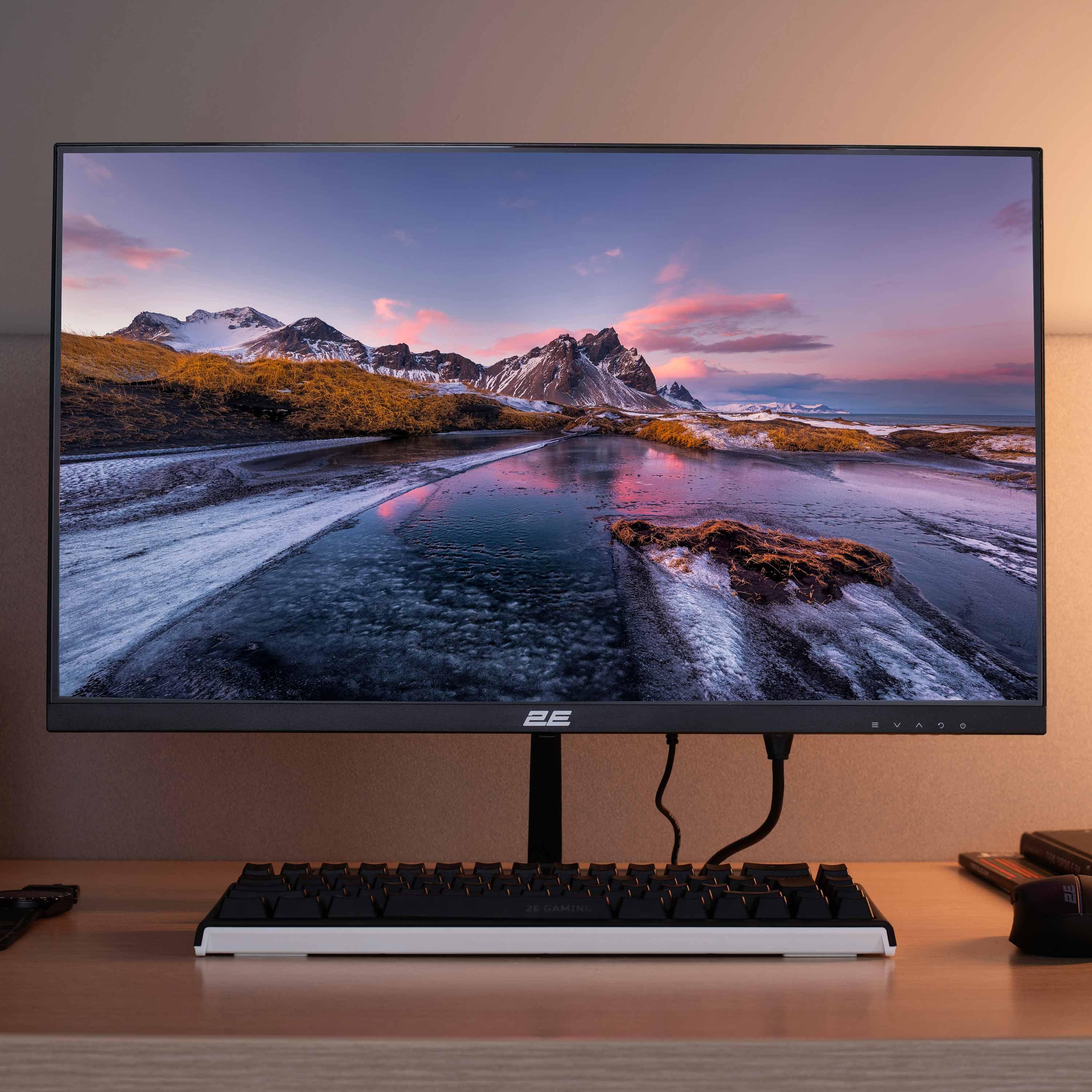 Monitor 2E 23.8" D2423B