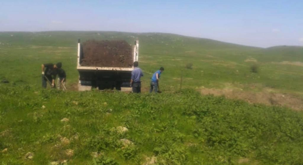 Qara torpaq
