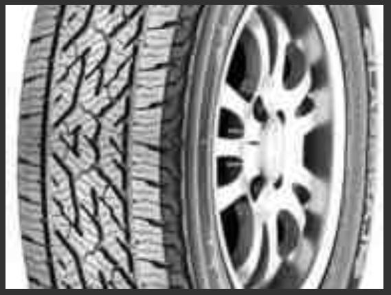 "Lassa Competus AT2" şinləri 265/70 R16
