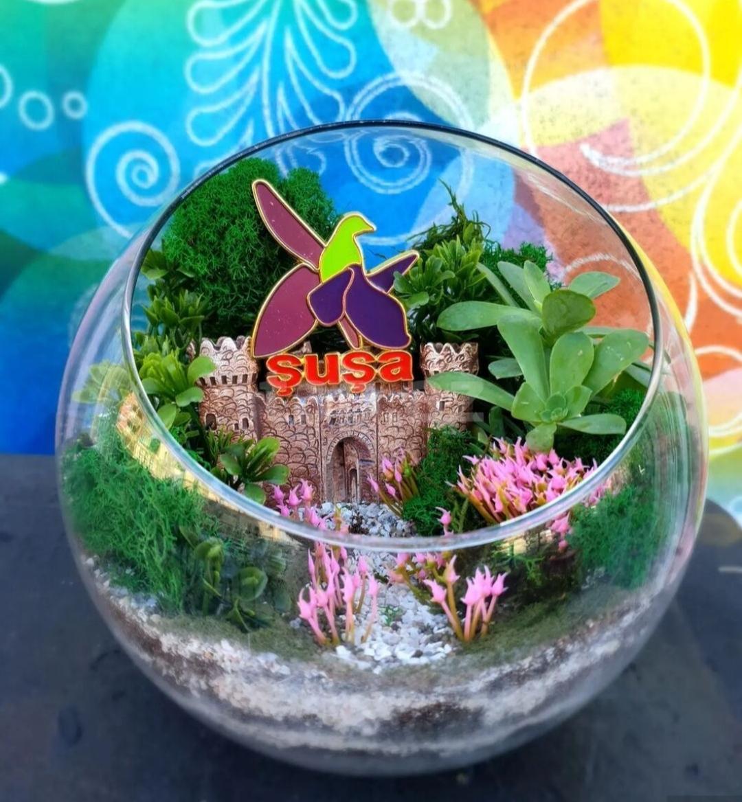 Terrarium
